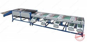 Automatic Garlic Sorting Machine with Brusher Cleaning Function | Garlic Peeling Machine, Garlic Breaking Machine, Garlic Root Cutting Machine