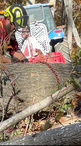 Tajfun USA #logging #winch is strong and reliable. Message for quote and availability. A little bit everyday goes a long way. Help someone if you can. #farming #homestead | Russ Willey