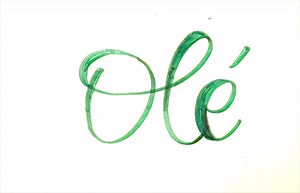 The Beginner's Guide to Flamenco Jaleos — experience flamenco