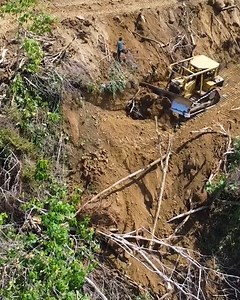 Power Meets Precision - Using CAT D6R XL Bulldozer for One Acre of Wooded Land Clearing | Grader Construction