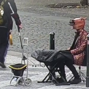 32K views · 439 reactions | We have a new hero. ~~ : Městská policie Praha | Prague Morning | Facebook