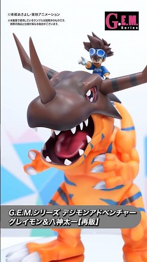 [Digimon Adventure] G.E.M. Series Greymon & Taichi Yagami / Garurumon & Yamato Ishida are back by...