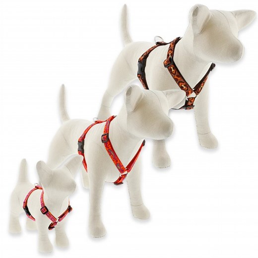 Original Designs Roman Dog Harness