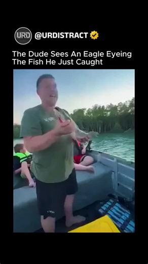 URDISTRACT on Instagram: "The post features a 48-second clip filmed in mangrove-lined waters, showing a fisherman tossing a large fish into the air from his boat, only for a bald eagle to swoop in and snatch it mid-flight. The moment is punctuated by the man’s stunned laughter as family members look on, turning an ordinary fishing trip into an unexpected spectacle. Uploaded on 31 December 2025 by a family-oriented account, the video quickly surpassed 1 million views and 15,000 likes, with replie