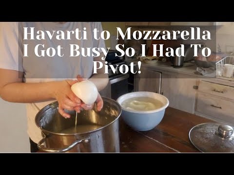 How to Make Mozzarella Cheese.... The Natural Way!