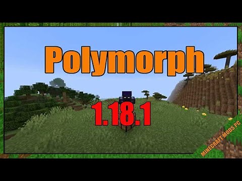 Polymorph Mod 1.18.1 Download - How to install it for Minecraft PC