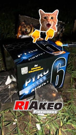 Ein neuer Batterie von Riakeo 💙 PYRO ADDICT 6 RKD-24112 F3 #fireworks #fajerwerki #pyro