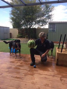 resurfacing pressed concrete