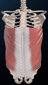 34K views · 34 reactions | Rotation of spine The rotation of spine...