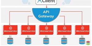 Why use Microservice Server Architecture?