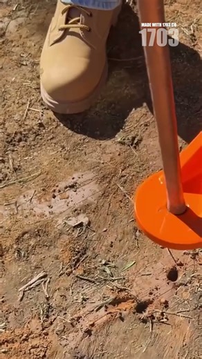 Fix Lawn Drainage Issues: Essential Tips for Homeowners