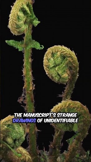 The World’s Most Mysterious Book: The Voynich Manuscript (Unbroken Code for 600 Years)