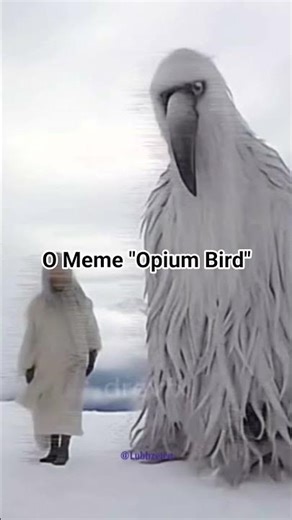 O Meme "Opium Bird" #creepypasta #terror #horror #memes #opiumbird