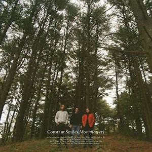 Moonflowers - Constant Smiles | Album | AllMusic