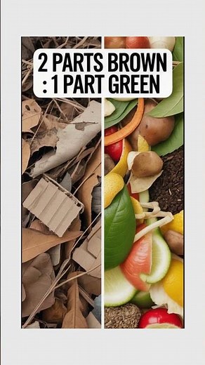 How to Make DIY Compost at Home — No Smell, No Fuss!