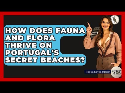 How Does Fauna And Flora Thrive On Portugal's Secret Beaches? - Western Europe Explorer