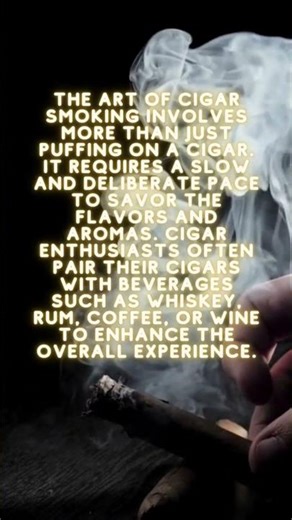 Slow Down & Light Up