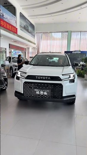 This RAV4 Hybrid China is Built Different #RAV4Woodland #Toyota #PHEV