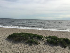 Beaches, Campgrounds To Be Jammed Over July 4th Holiday Period