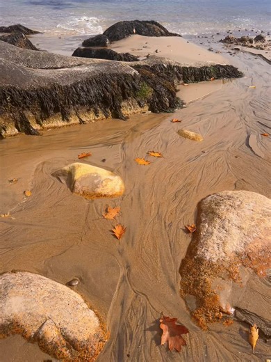 One of the most beautiful beaches in Massachusetts