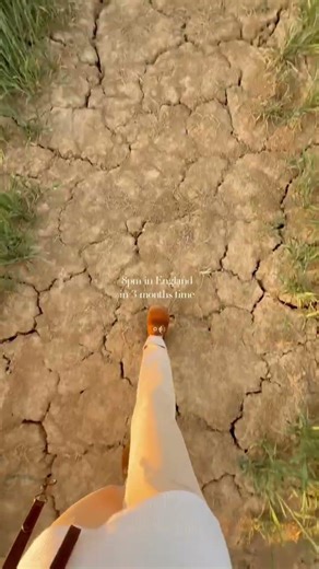 This is what #england will look like at 8pm in 3 months time 🌾 #cosyvlog #cotswoldslife