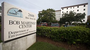 Mold displaces Florida Department of Environmental Protection workers