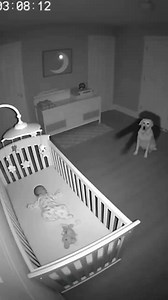 “Late Night Home Monitor | Silent Footage” | Crib Shadow