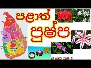 පළාත් පුෂ්ප palath pushpa (Provincial flowers in Sri Lanka)