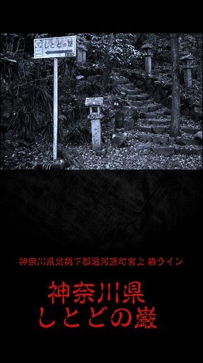 『神奈川県心霊スポット』#心霊 #心霊スポット #都市伝説 #神奈川県