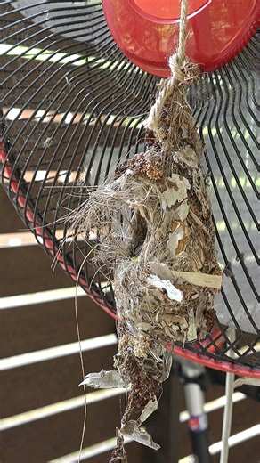 It was a very rare case when my camera was filming above water. Wouldn’t you buy a tripod for moments like this? #oceanreality | Ocean Reality Channel