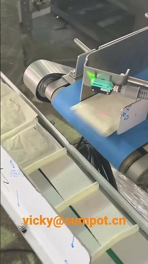 SUMPOT full automatic pouch loading unloading line for retort room