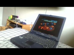 A Bug's Life Active Play Tour!