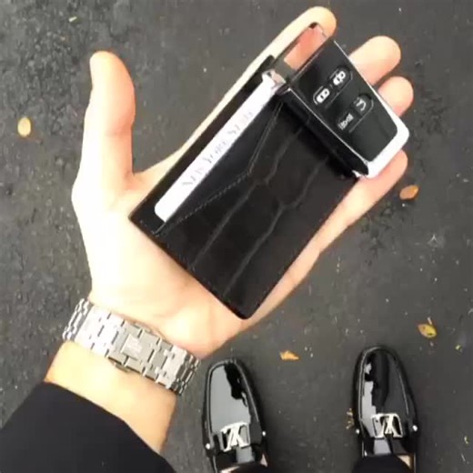 Luxury | Watches | Lifestyle on Instagram: "AP Chrono on the wrist. @michael_louis_ Black Croc card holder and Aston Martin DB9 key in the hand cc: @_michaellouis_"