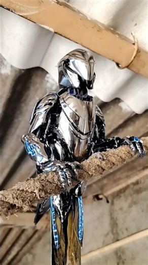 parrot become robot 🤖😱😵‍💫 #youtubeshorts#cute#music #robot#talkingparot #funny #mithukibatain #birds