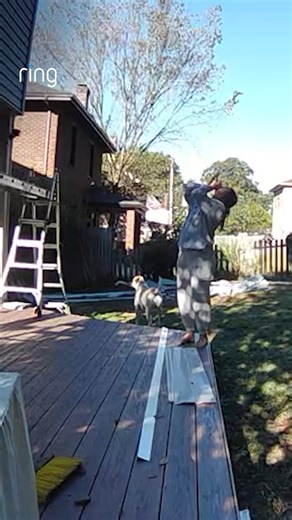 17K views · 55 reactions | When multi-tasking goes wrong. 盧煮 | Ring | Facebook