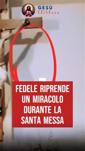 Faithful records a miracle during Holy Mass #mass #miracle #madonna