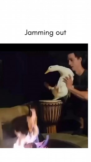 UDUCK 💛 on Instagram: "😂😂"