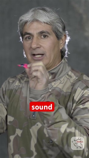 Challenge Bugle - Short 2 #elk #elkhunting #elkcalling #bowhunting #publiclandhunting