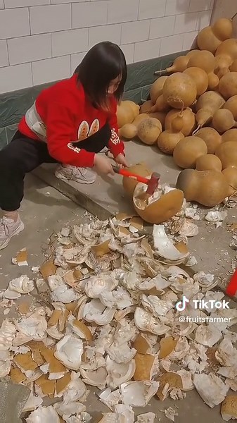 Fruits🥭🍇🍎🍊🍑🍒🥝🥥 (@fruitsfarmer)’s videos with original sound - Fruits🥭🍇🍎🍊🍑🍒🥝🥥