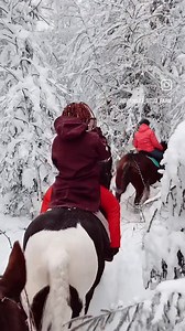 49K views · 2.7K reactions | Winter fairy tale at @titanium_stud_farm ❄️  @titanium_stud_farm & @libontova #horseclub #horse #stable #irishcob #tinkercob #tinker #gypsycob #gypsyvanner #horse #stallion #stallion #tinker #horse #photoshoot #equestrian #myhorse #nsvt #horsephoto #horsephotography #equestrianlife #equestrianphotography | Best of America by Horseback | Facebook