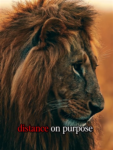 Mastering Self-Discipline for Success