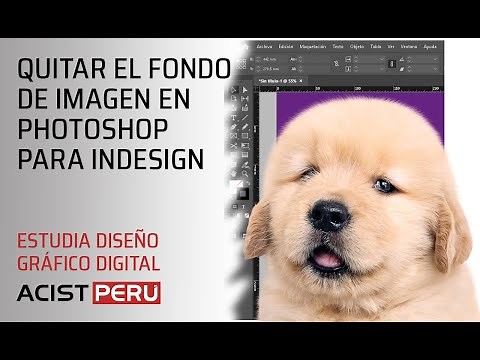 Como quitar el fondo de una imagen en Photoshop para importar en Indesign