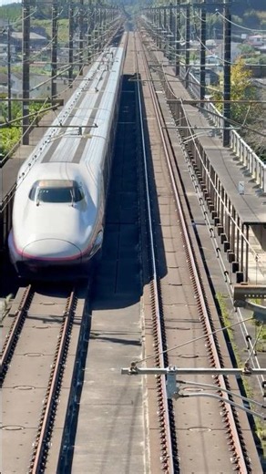 【東北新幹線】E2系なすの270号単独爆走通過❗️橋の上から撮影