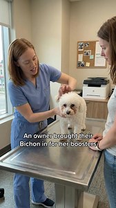 Ever since my dog, Rex, was a puppy, he's had a sensitive tummy. With frequent bouts of gas, bloating, and loose poop, our quest to find the perfect diet for him seemed never-ending. Despite Rex being on one of the most highly recommended raw diets, we still found ourselves at the vet's every few months for anal gland expression. If we didn't, we'd soon find him scooting across our carpets or intensely licking his behind. With spring's arrival, Rex also developed an odd habit of grazing on grass