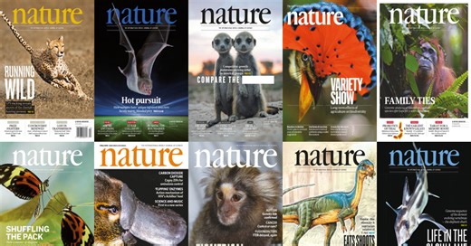 Research Preview: Nature Magazine – Sept. 5, 2024