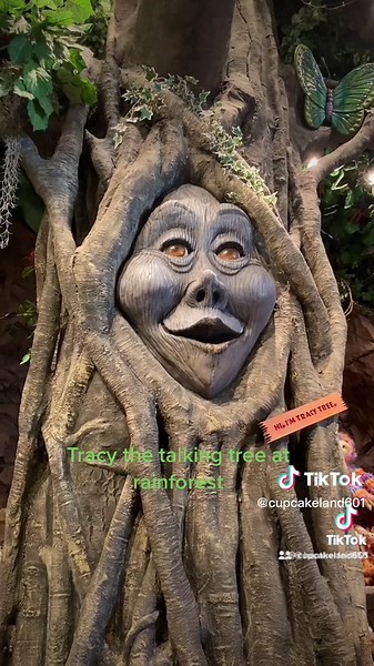 CupcakeFairy on TikTok