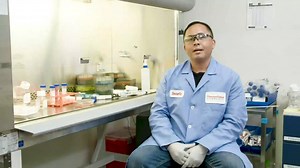 Cancer Spheroid Formation Using Nunclon Sphera Microplates - Scientific Videos | Thermo Fisher Scientific US