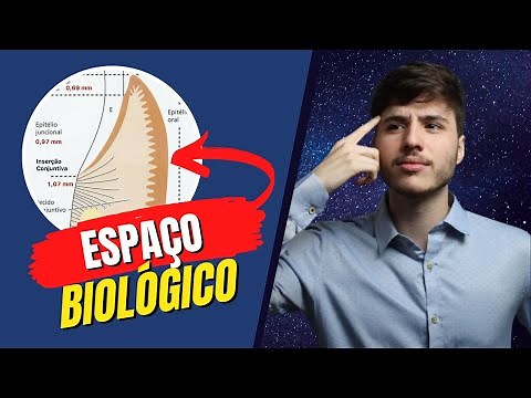 Espaço biológico | Anatomia Periodontal | Periodontia