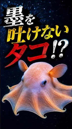 墨を吐けないタコ「メンダコ」
