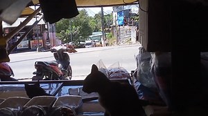 Medyo natagalan mag upload .daming ganap sa store. Receiving of #MerryMart orders. 20pesos kilo ng bigas extended kaya order na. #MerryMart #sarisaristorebusiness #sarisaristore | 4s vlogs